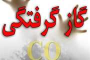مسمومیت با گاز منوکسید کربن در دو روستای قم با 7 بیمار