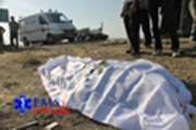 حادثه برخورد نیسان با کامیون ۱نفر قربانی گرفت